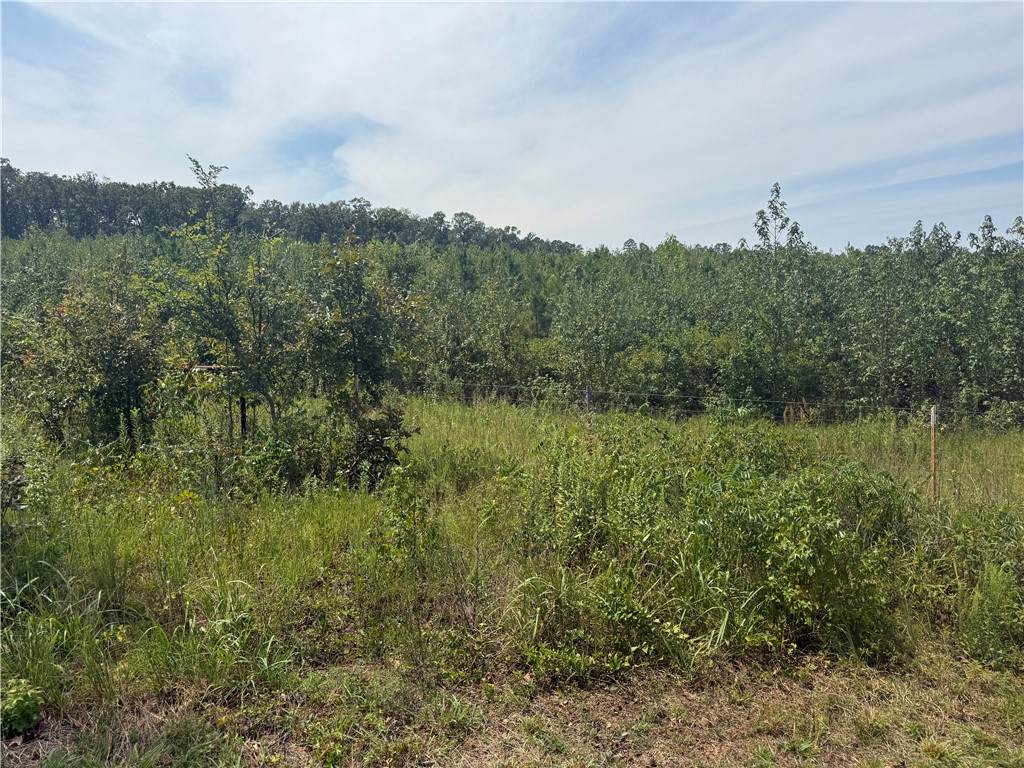 000 Williams Ridge Drive - Photo 1