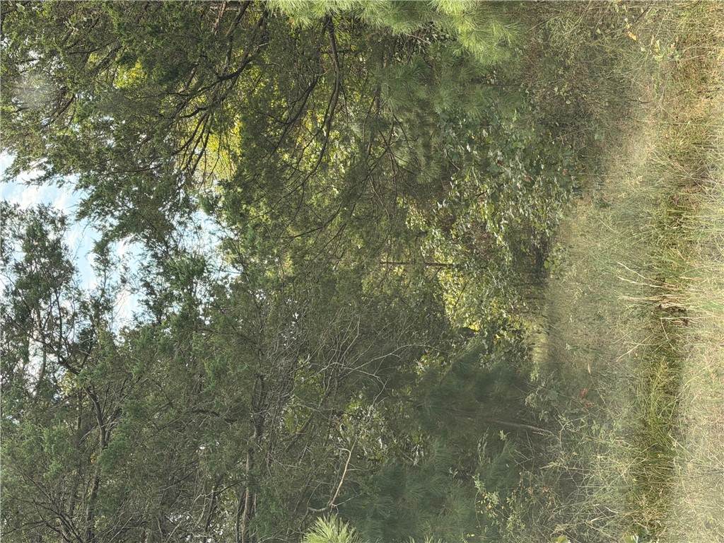 https://bt-photos.global.ssl.fastly.net/arkansas/orig_boomver_1_1361228-2.jpg