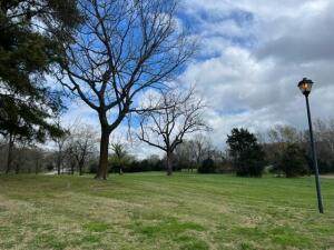3113 Savannah Drive - Photo 1