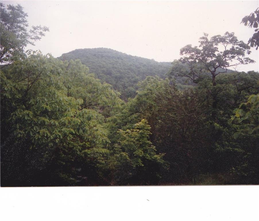 Hwy 221 - Photo 1 Hwy 221 - Photo 1