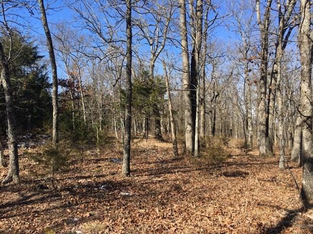 Lots 10,11,27 Lodge Dr/Oak Cliff Ln - Photo 1