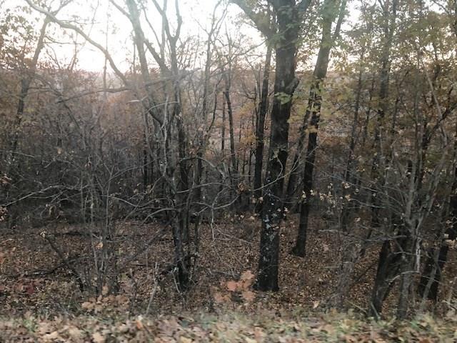 18650 Hale Mountain Rd - Photo 1