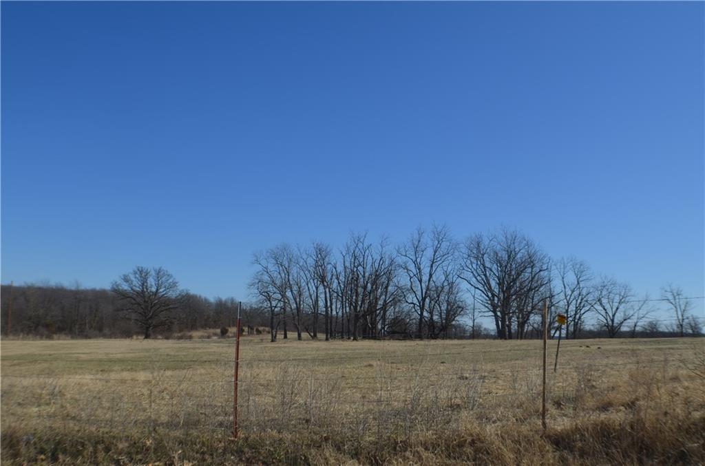 TBD Luedecke Rd - Photo 1
