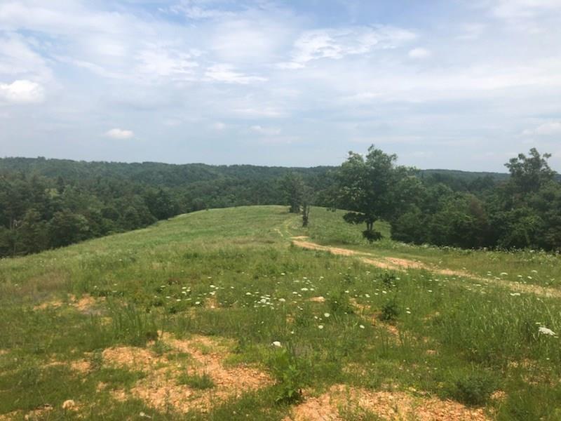 Lot 9 Lynchburg Road - Photo 1 Lot 9 Lynchburg Road - Photo 1