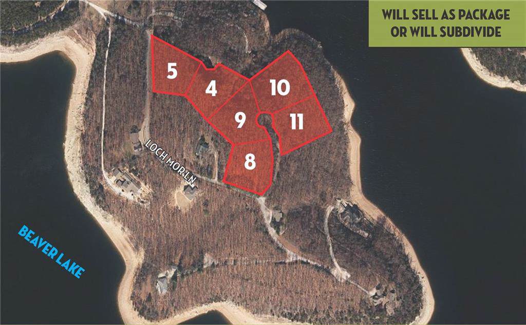 8.52 Acres Loch Mor Lane - Photo 1