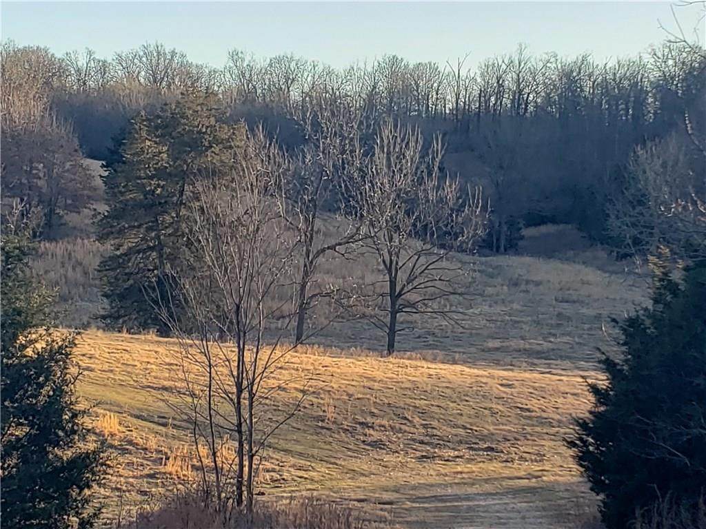 17095 Kincheloe Road - Photo 1
