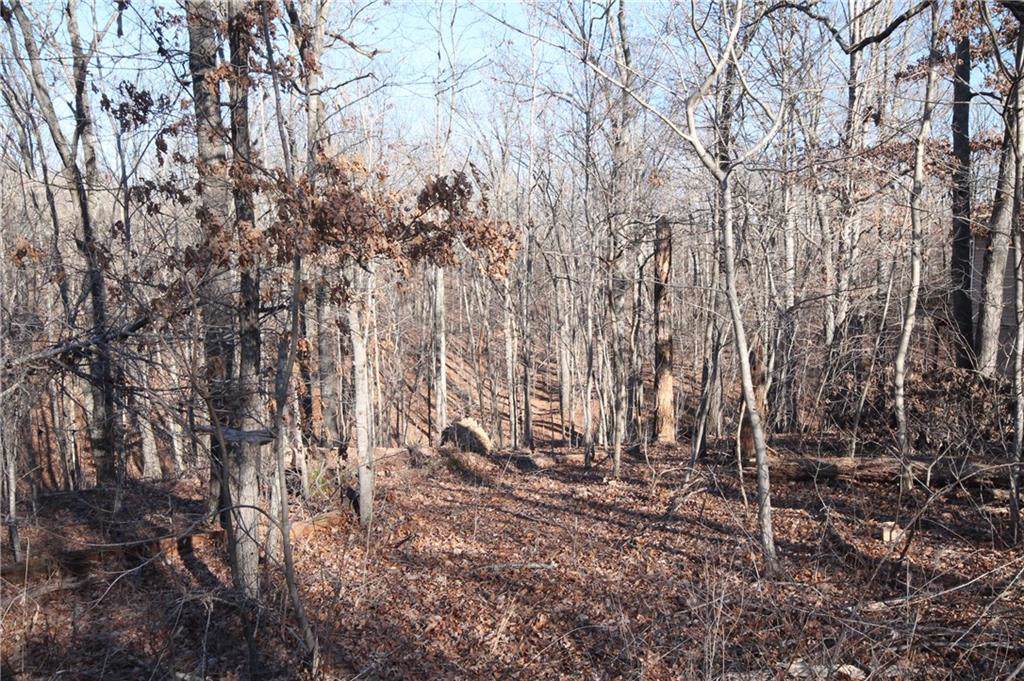 Aveton Lane - Photo 1 Aveton Lane - Photo 1