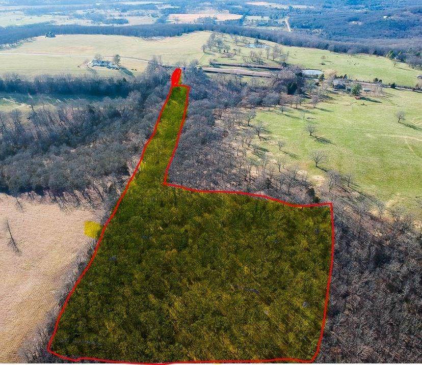 12.99 Acres Mcguire Mountain Wc 317 Road - Photo 1 12.99 Acres Mcguire Mountain Wc 317 Road - Photo 1