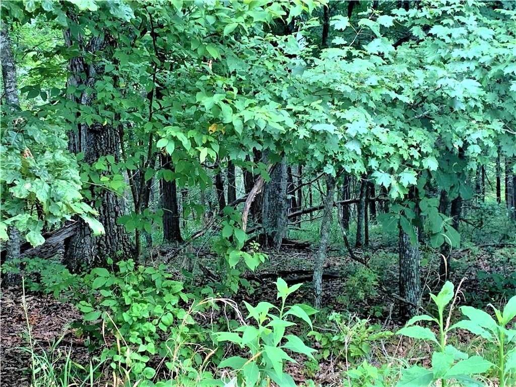 53 Twin Peak Drive - Photo 1