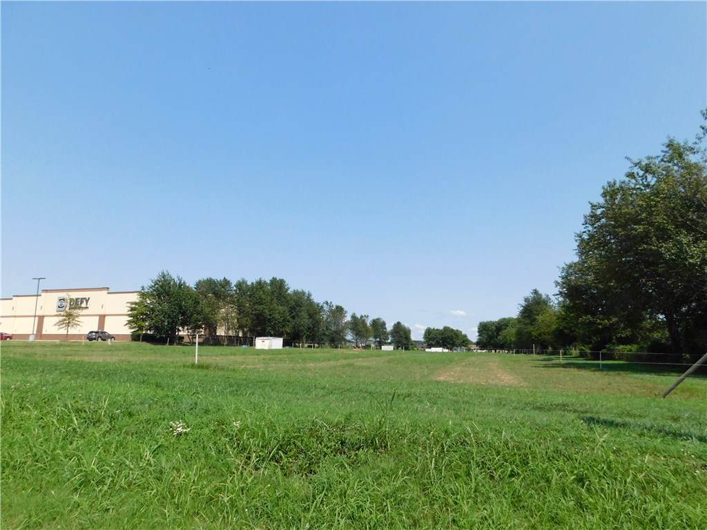 Dixieland Road - Photo 1