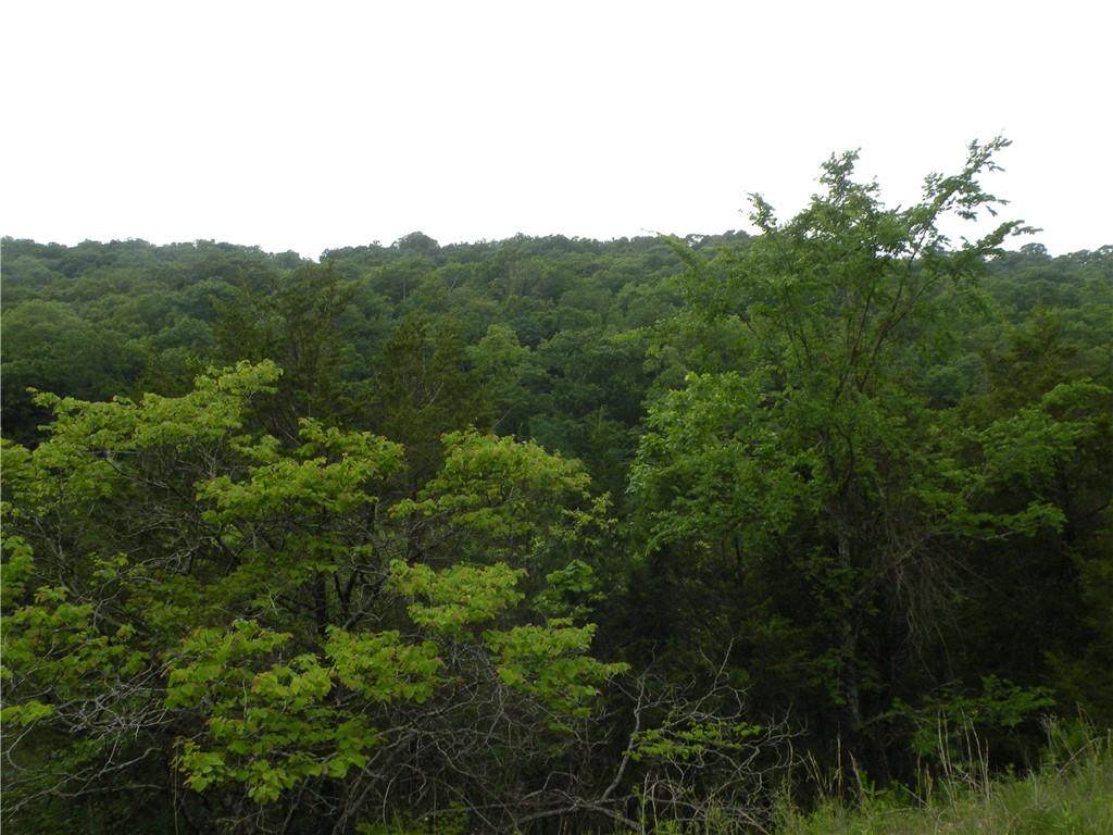 18 Choctaw Lane - Photo 1