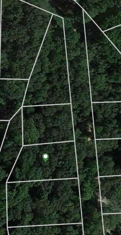 17675 Driftwood Approach Road - Photo 1
