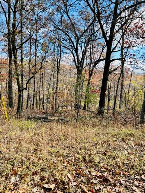 19620 Hidden Valley Road - Photo 1