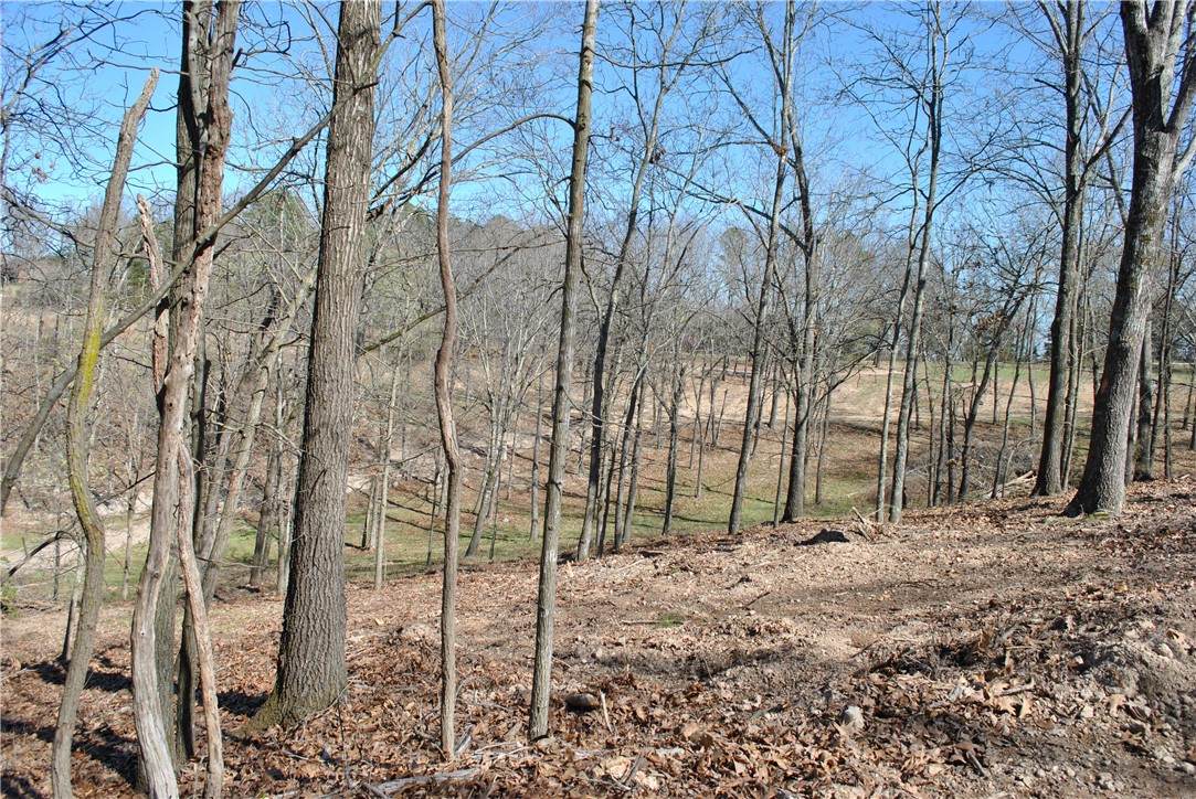 Lot 105 Robin Road - Photo 1