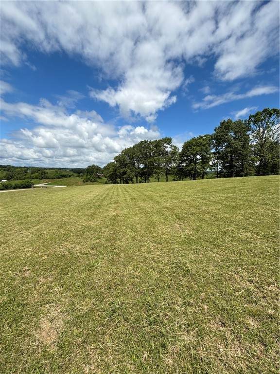 95 La Vista Circle - Photo 1