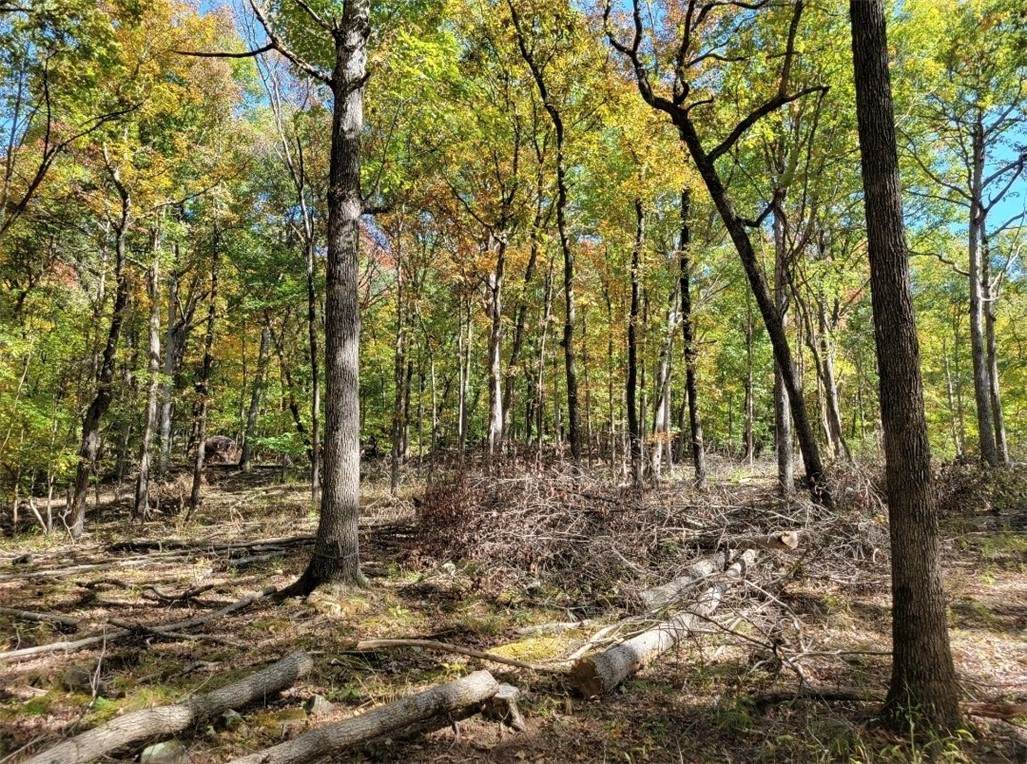 1385 Spring Loop - Photo 1