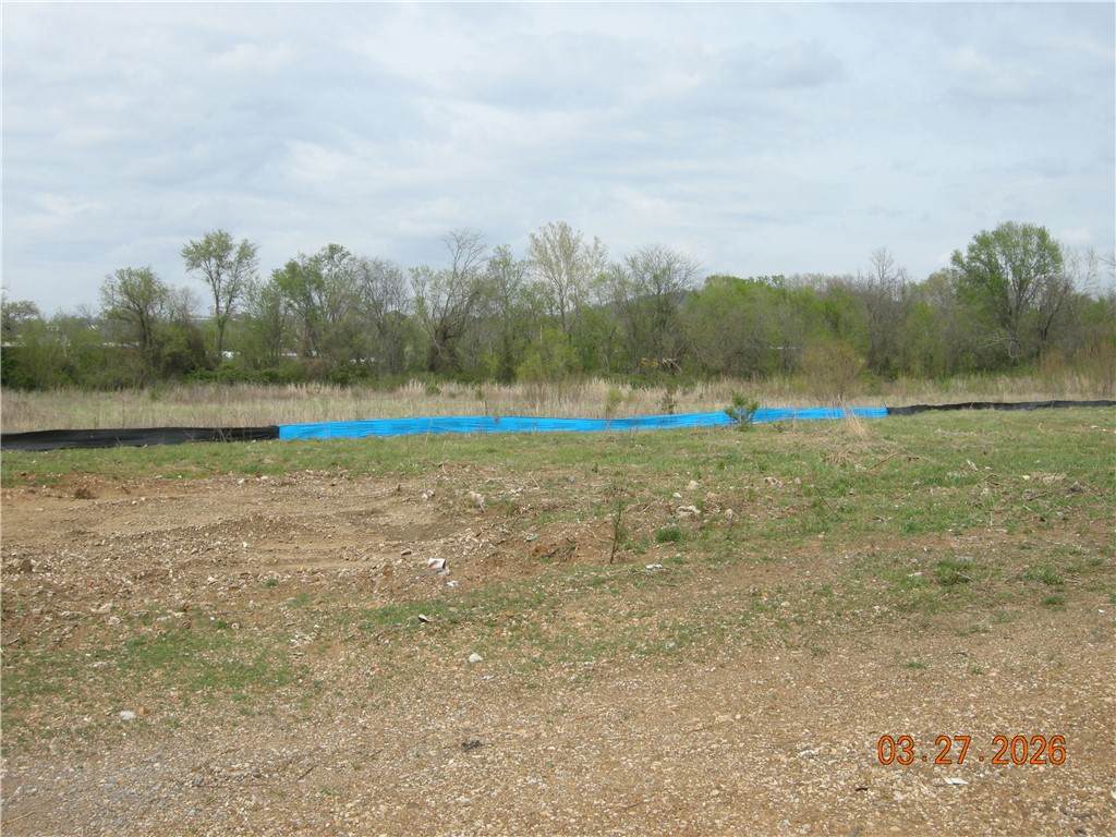 1700 School Avenue - Photo 1