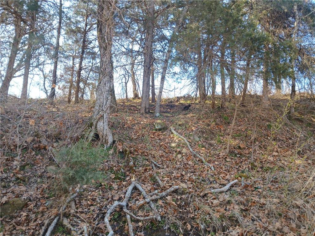 TBD Madison 2149 Lot #4 - Photo 1