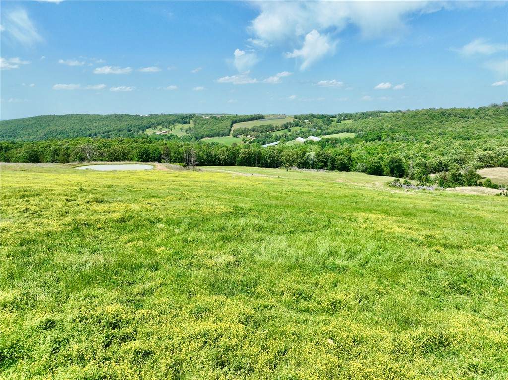 TBD Madison 6555 Road - Photo 1
