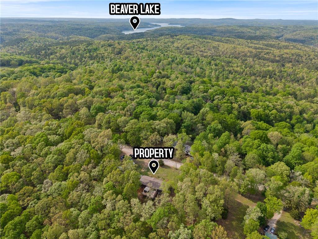 9980 Kirk Hollow Road - Photo 1
