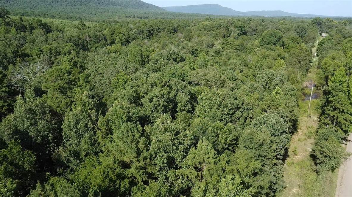 TBD Slo Fork Road - Photo 1