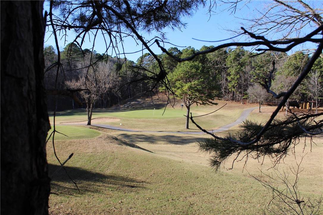 https://bt-photos.global.ssl.fastly.net/arkansas/orig_boomver_2_1312245-2.jpg