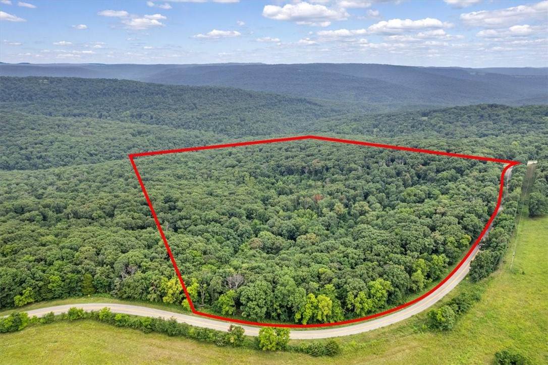 10347 Devils Den Road - Photo 1