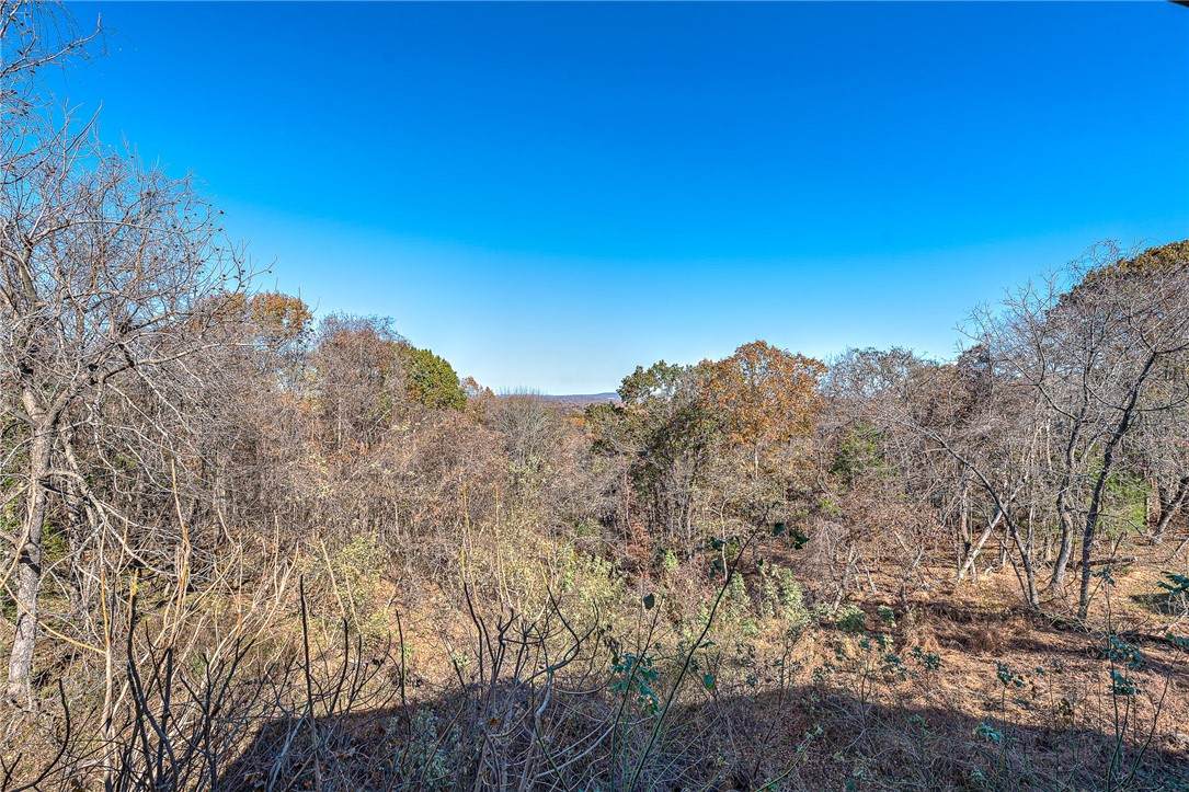 https://bt-photos.global.ssl.fastly.net/arkansas/orig_boomver_2_1320095-2.jpg