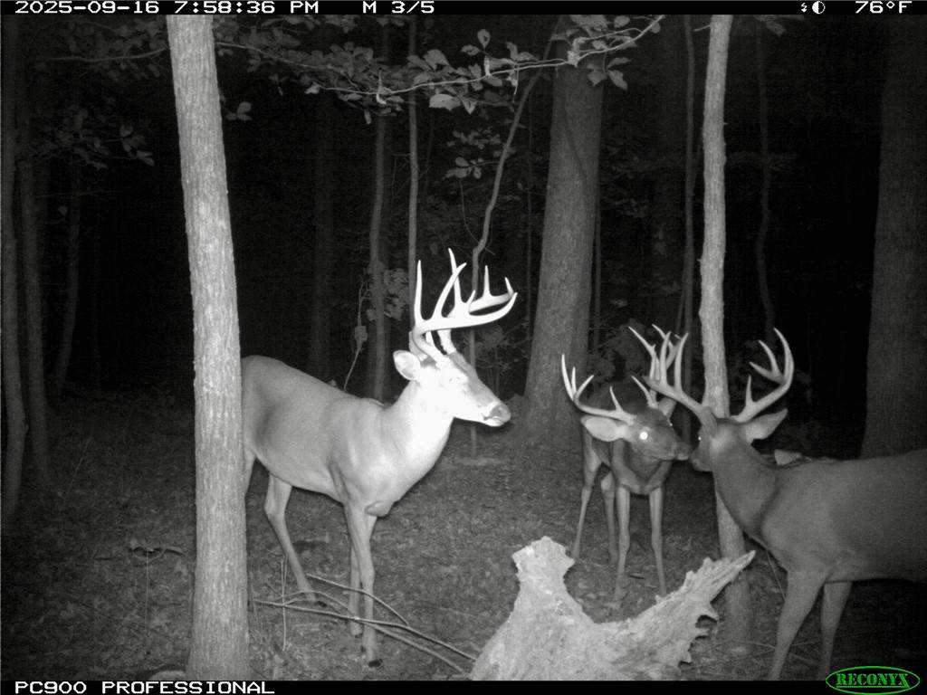 TBD Hwy 16 - Photo 1