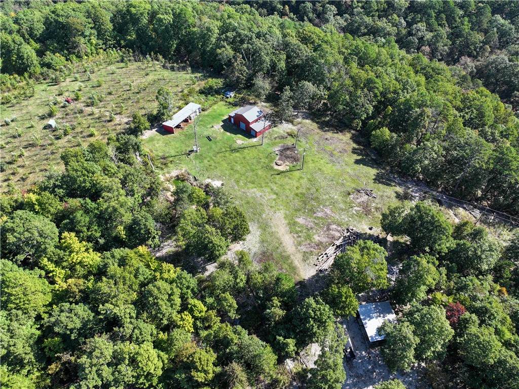 1744 County Road 114 - Photo 1