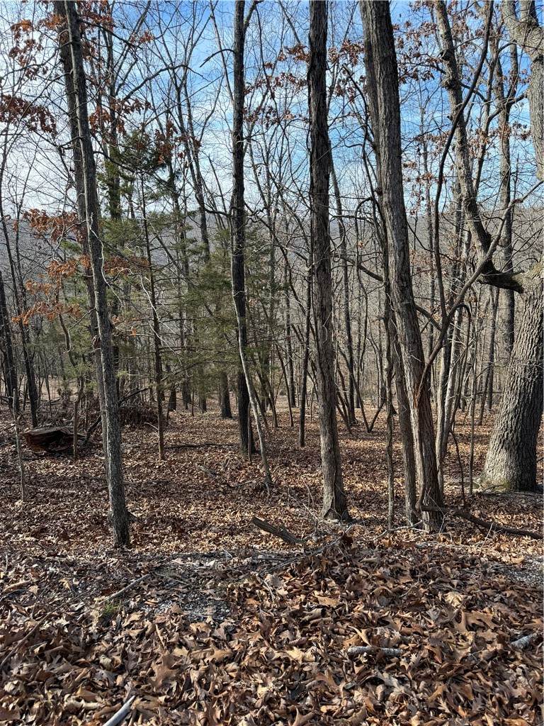 Lot 76 Shady Glen Road - Photo 1