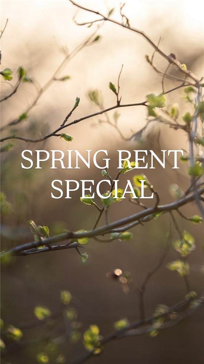 1602 Casuarina Drive - Photo 1