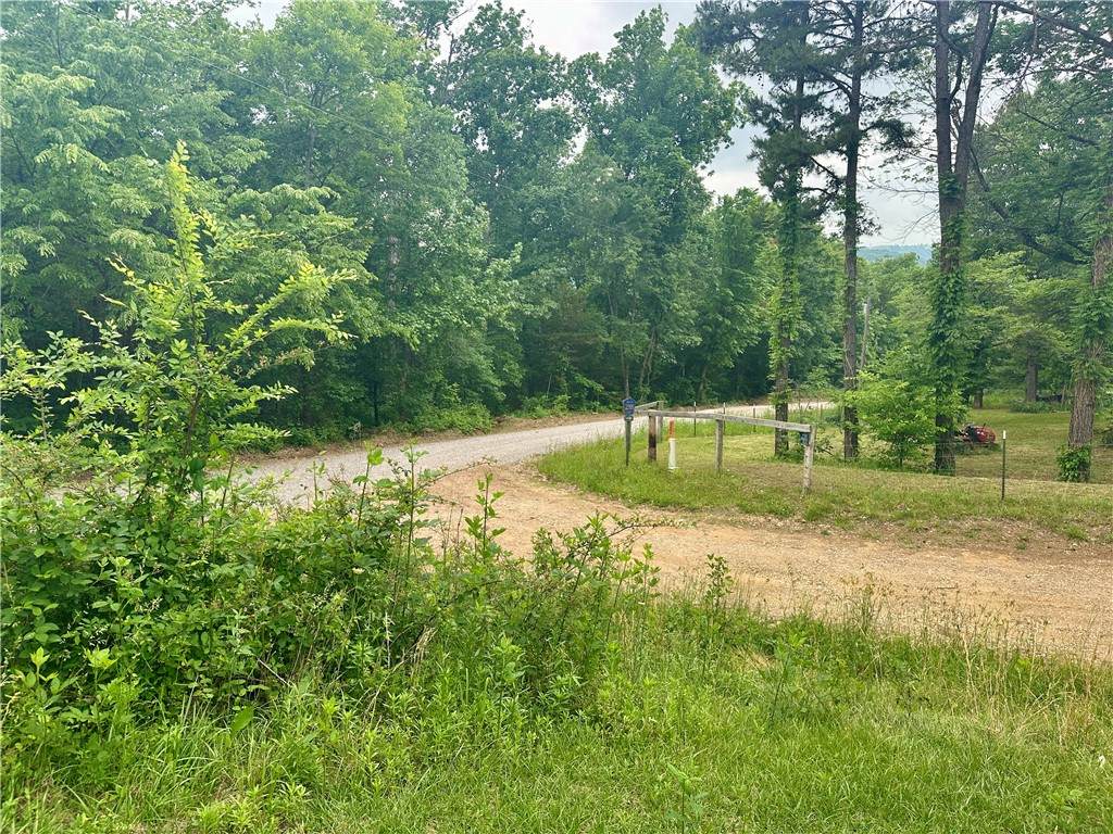 https://bt-photos.global.ssl.fastly.net/arkansas/orig_boomver_2_1348035-2.jpg