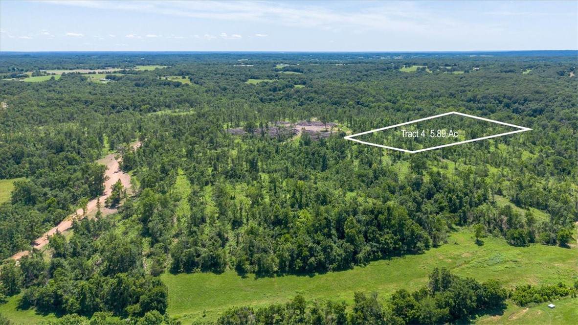 Lot 4 Adams Road - Photo 1