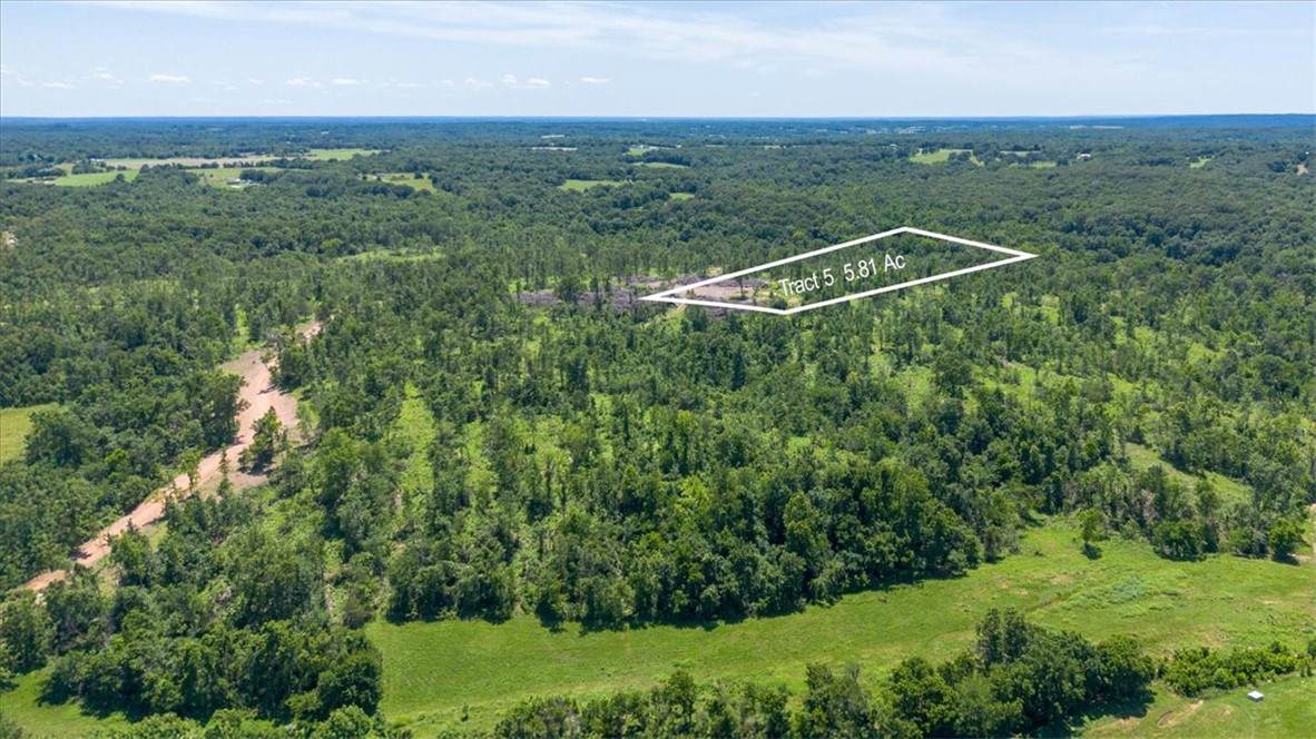 Lot 5 Adams Road - Photo 1