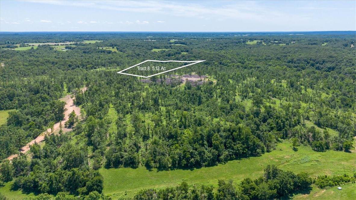 Lot 8 Adams Road - Photo 1