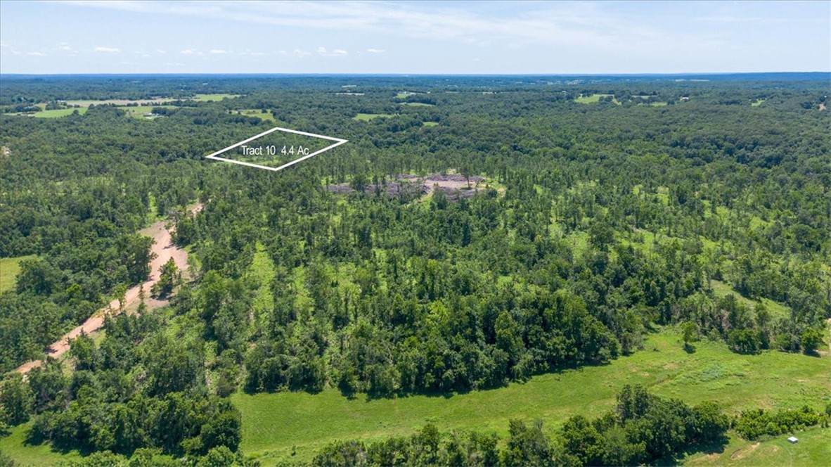 Lot 10 Adams Road - Photo 1