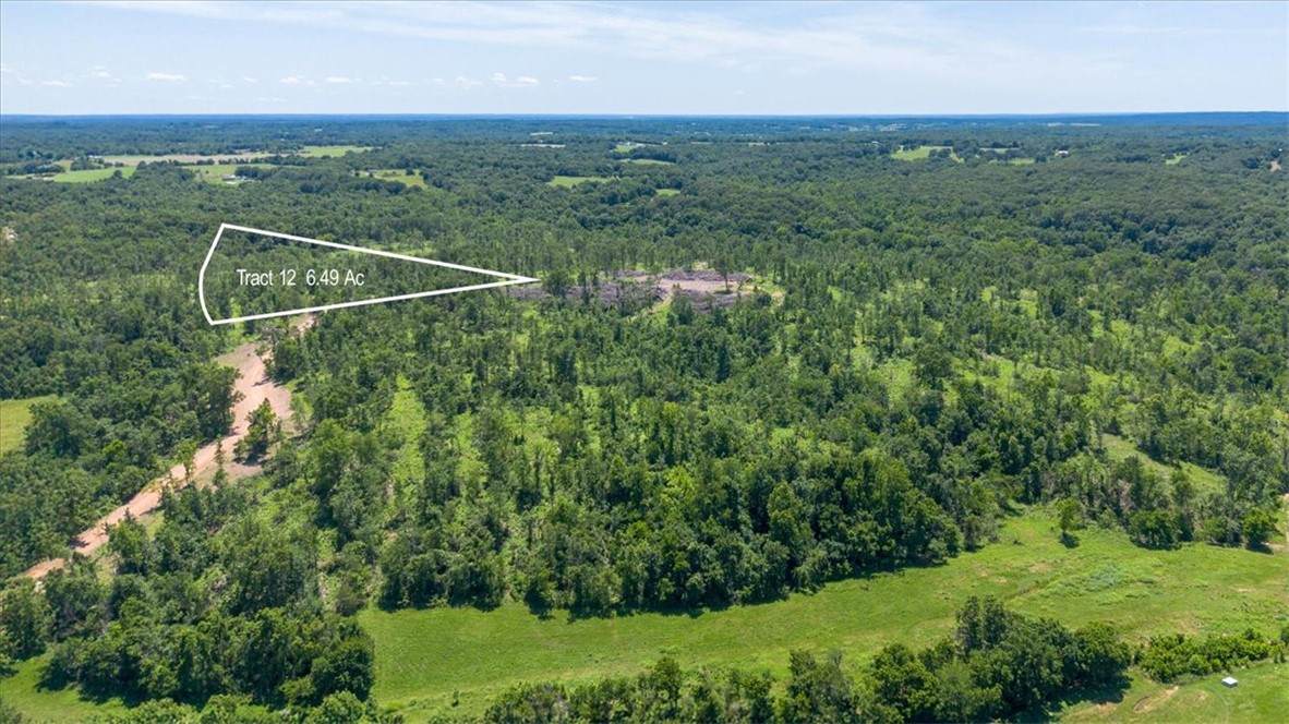 Lot 12 Adams Road - Photo 1