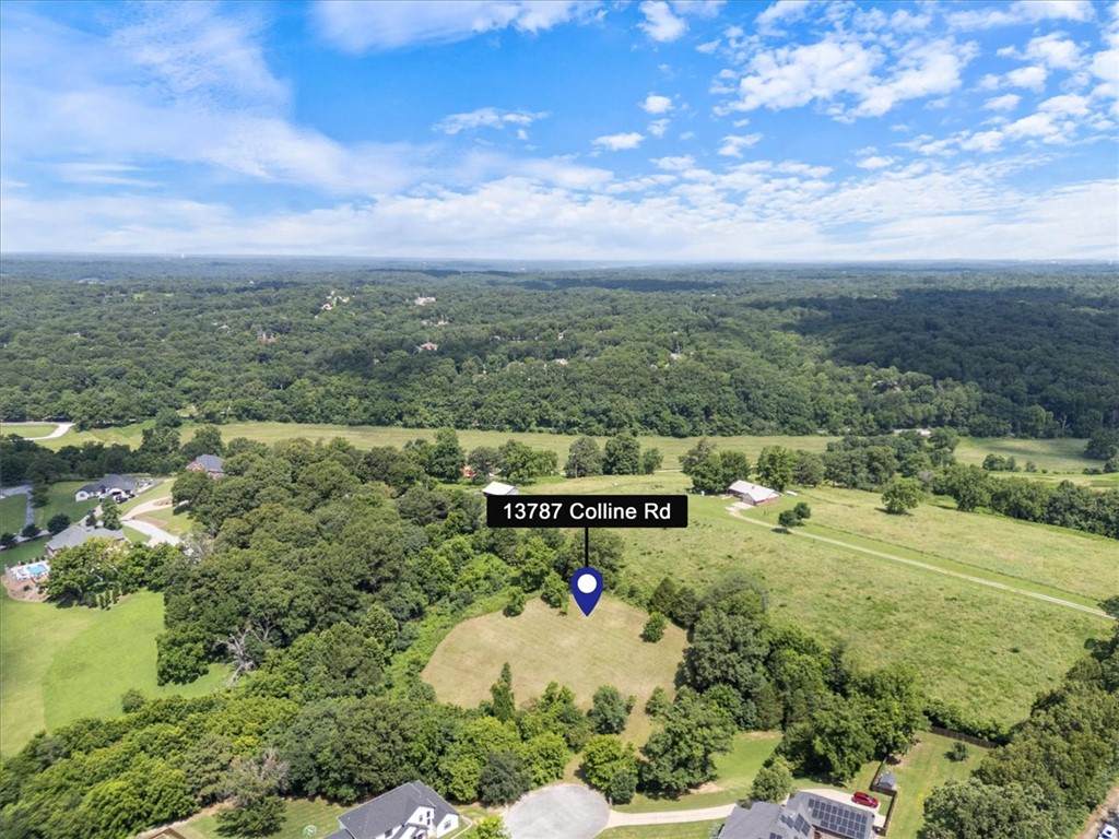 13787 Colline Road - Photo 1