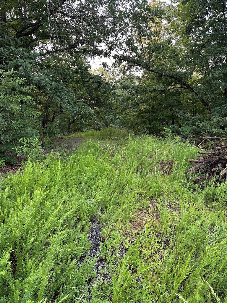 Lot 12 Denver Lane - Photo 1