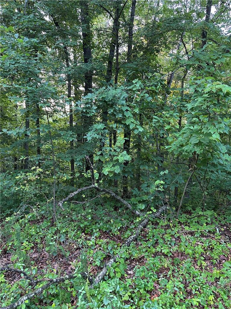 https://bt-photos.global.ssl.fastly.net/arkansas/orig_boomver_2_1354352-2.jpg