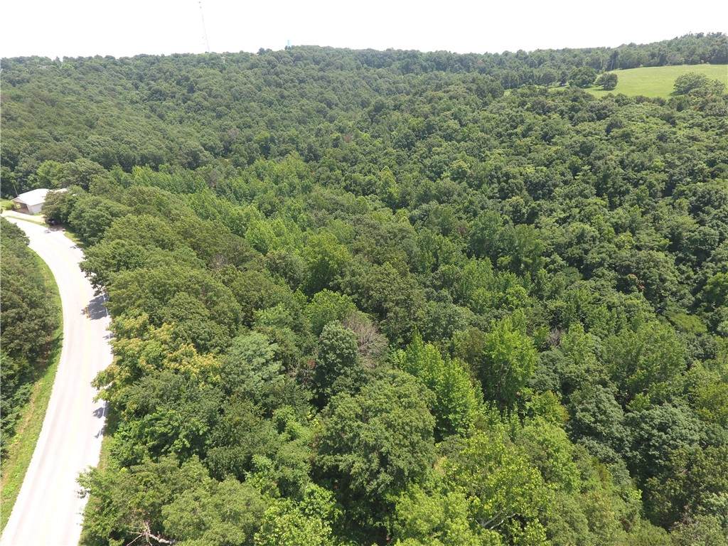 https://bt-photos.global.ssl.fastly.net/arkansas/orig_boomver_2_1355113-2.jpg