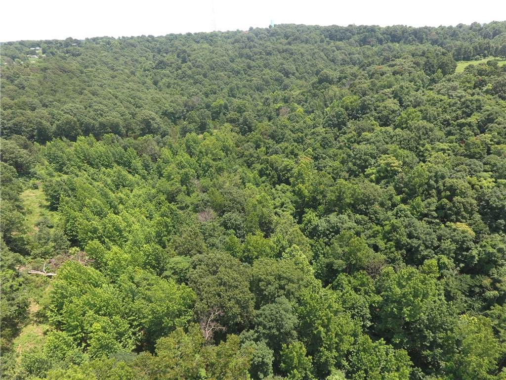 https://bt-photos.global.ssl.fastly.net/arkansas/orig_boomver_2_1355113-2.jpg