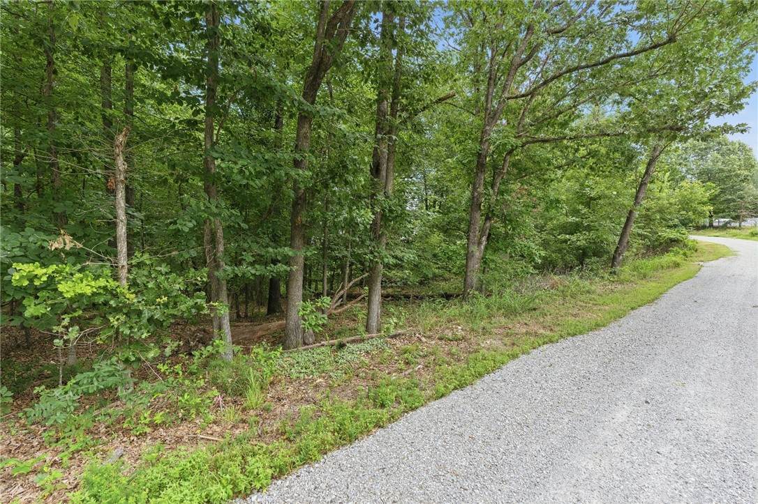https://bt-photos.global.ssl.fastly.net/arkansas/orig_boomver_2_1355141-2.jpg