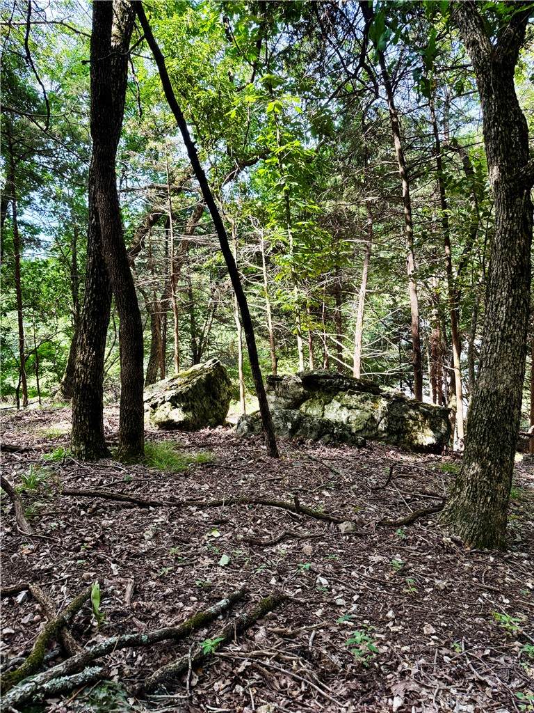Lot 39 Pine Drive - Photo 1