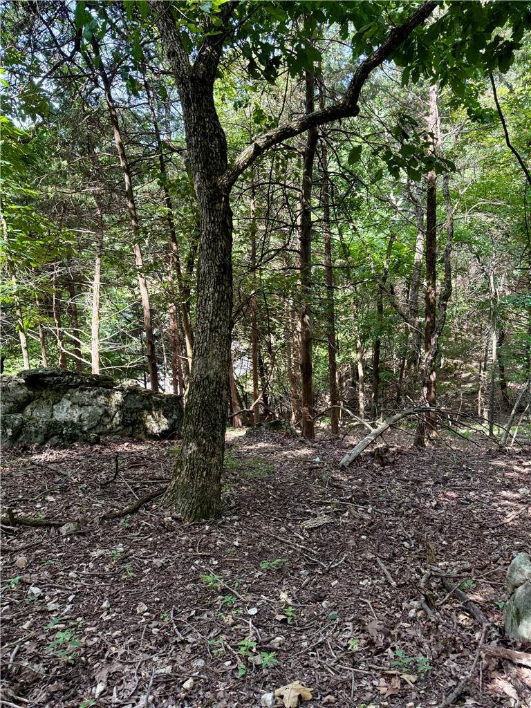 https://bt-photos.global.ssl.fastly.net/arkansas/orig_boomver_2_1356760-2.jpg