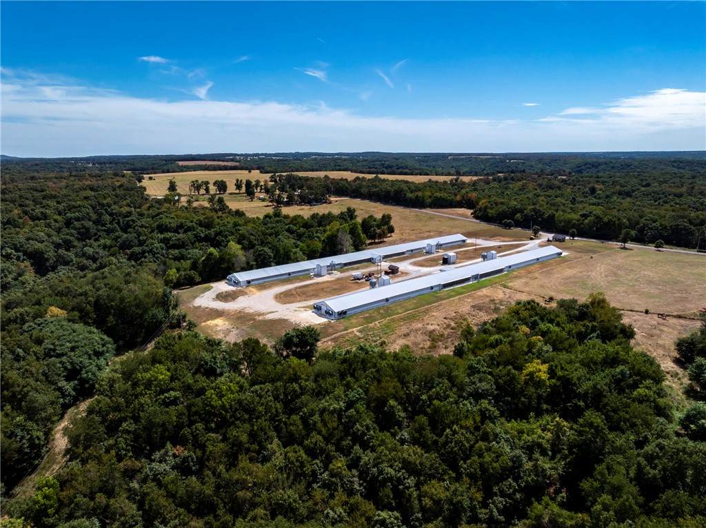 https://bt-photos.global.ssl.fastly.net/arkansas/orig_boomver_2_1360990-2.jpg
