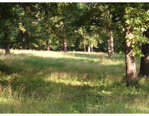 8.5 Acres Dutchmans Drive - Photo 1