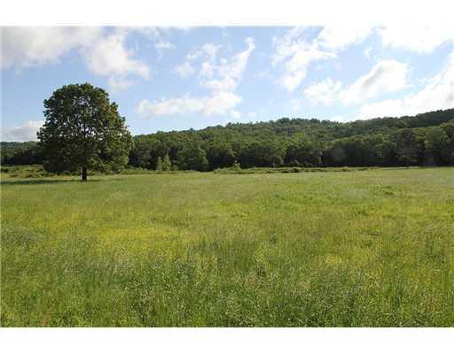 Holt Forge (40 Acres) Rd - Photo 1