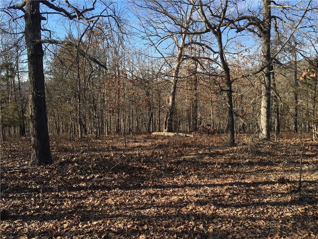 Slate Gap - Section 2 Rd - Photo 1